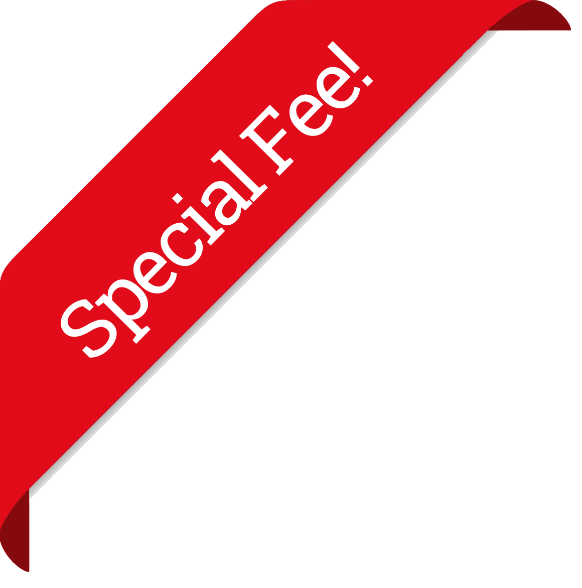 special fee