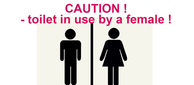 Sex Discrimination, Harassment & Female Toilets - an important Employment law case