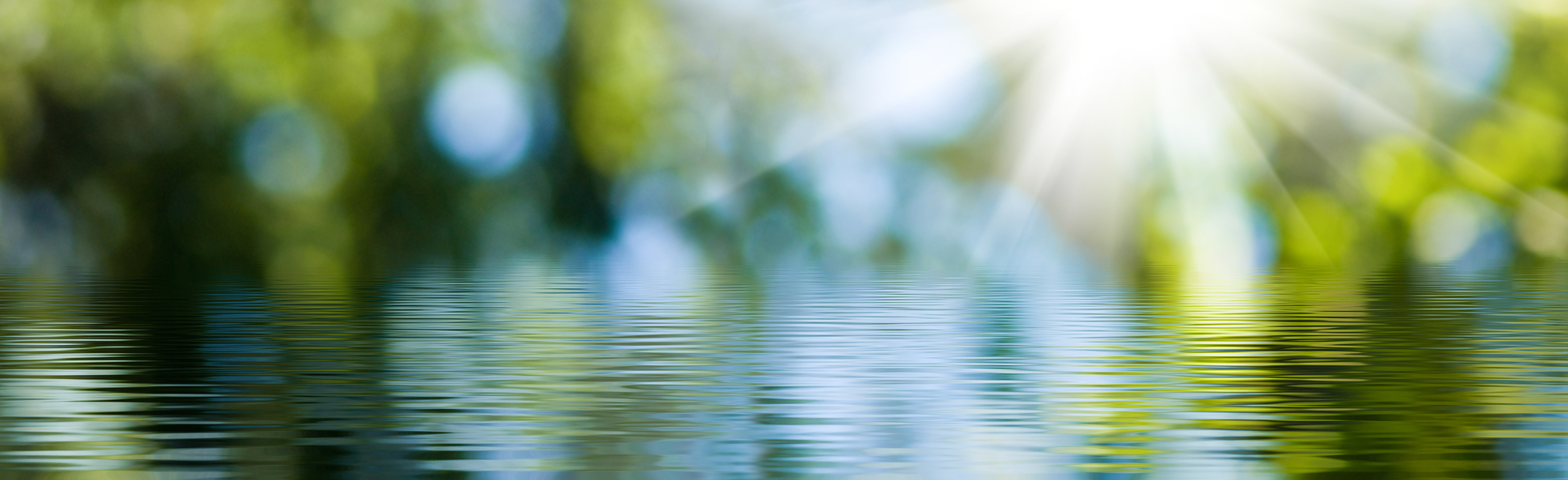 Green pond